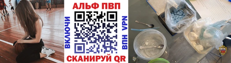 Альфа ПВП СК КРИС  Коряжма 