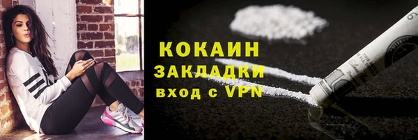 крисы Алзамай