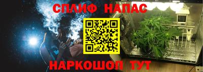 индика Краснознаменск