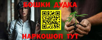 индика Краснознаменск