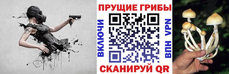 Галлюциногенные грибы мухоморы  Коряжма 