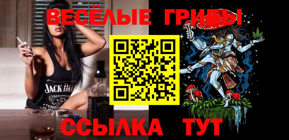 даркнет сайт  Вход с VPN  Коряжма  Галлюциногенные грибы GOLDEN TEACHER  Галлюциногенные грибы Cubensis 